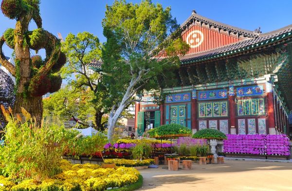 Ninh Bình đứng thứ ba trong top 10 điểm du lịch hàng đầu năm 2018 do Popsugar bình chọn