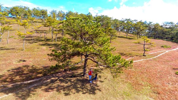 Bộ ảnh siêu nhắng nhít của cặp đôi ở Đà Lạt gợi nhớ trào lưu ‘nắm tay em đi khắp thế gian’ 36
