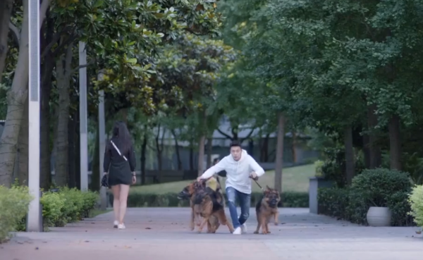 Thời Việt thả chó để trêu chọc người đẹp nhưng kết cục lại bị Nam Kiều đá gãy chân cún yêu.