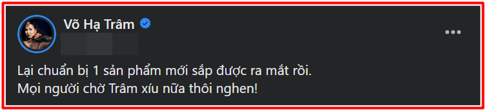  Võ Hạ Trâm tiếp tục 'thai nghén' sản phẩm mới: Liệu có vượt qua thành công của 'Về với em'? Ảnh 2