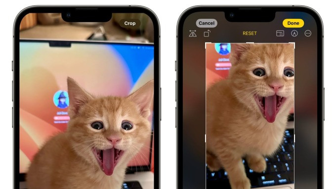  8 tính năng ảnh mới cho iPhone với iOS 17 Ảnh 2