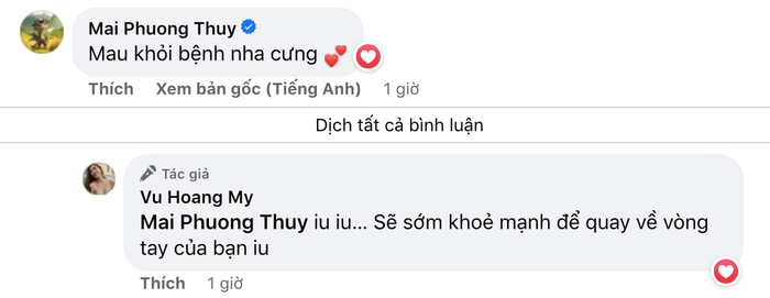  Á hậu Vbiz thông báo nhập viện, Mai Phương Thuý và nhiều sao Việt gửi lời chúc sức khoẻ Ảnh 3